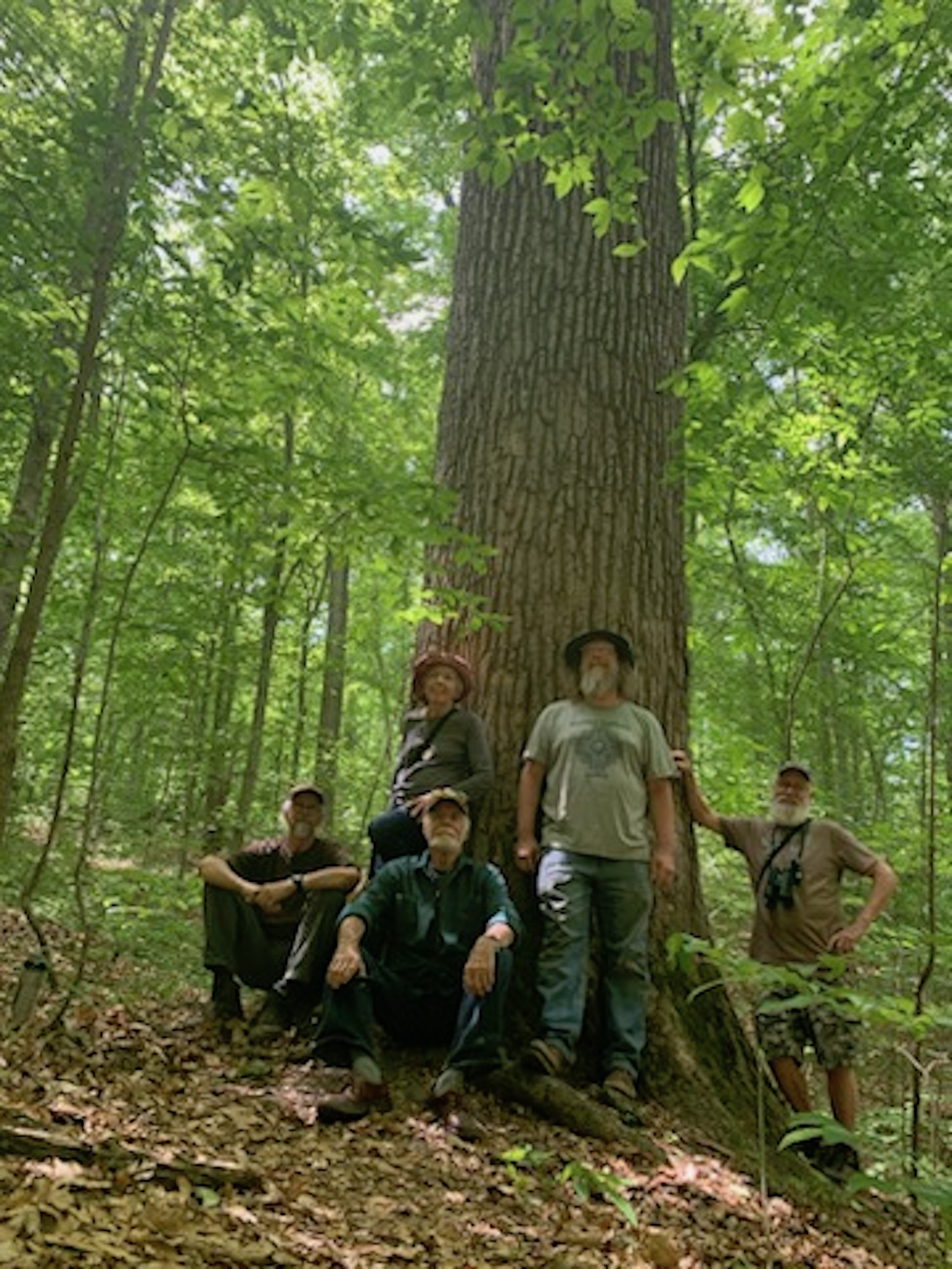 Forest Protectors standing in front of large tree in forest
